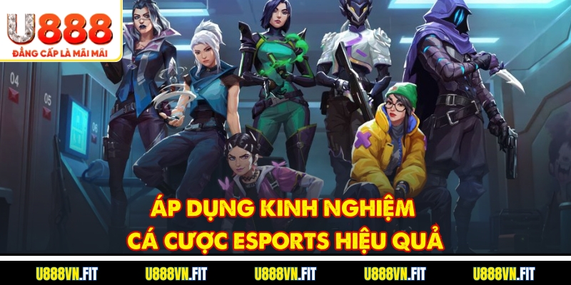 Áp dụng Kinh Nghiệm Cá Cược Esports hiệu quả