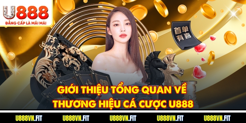 Giới thiệu tổng quan về thương hiệu cá cược U888