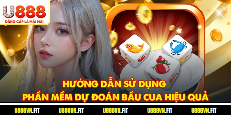 Hướng dẫn sử dụng phần mềm dự đoán bầu cua hiệu quả