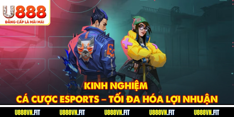 Chia Sẻ Kinh Nghiệm Cá Cược Esports Từ Cao Thủ Lão Làng